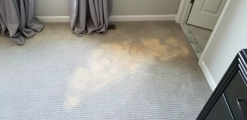 Bleached Carpets