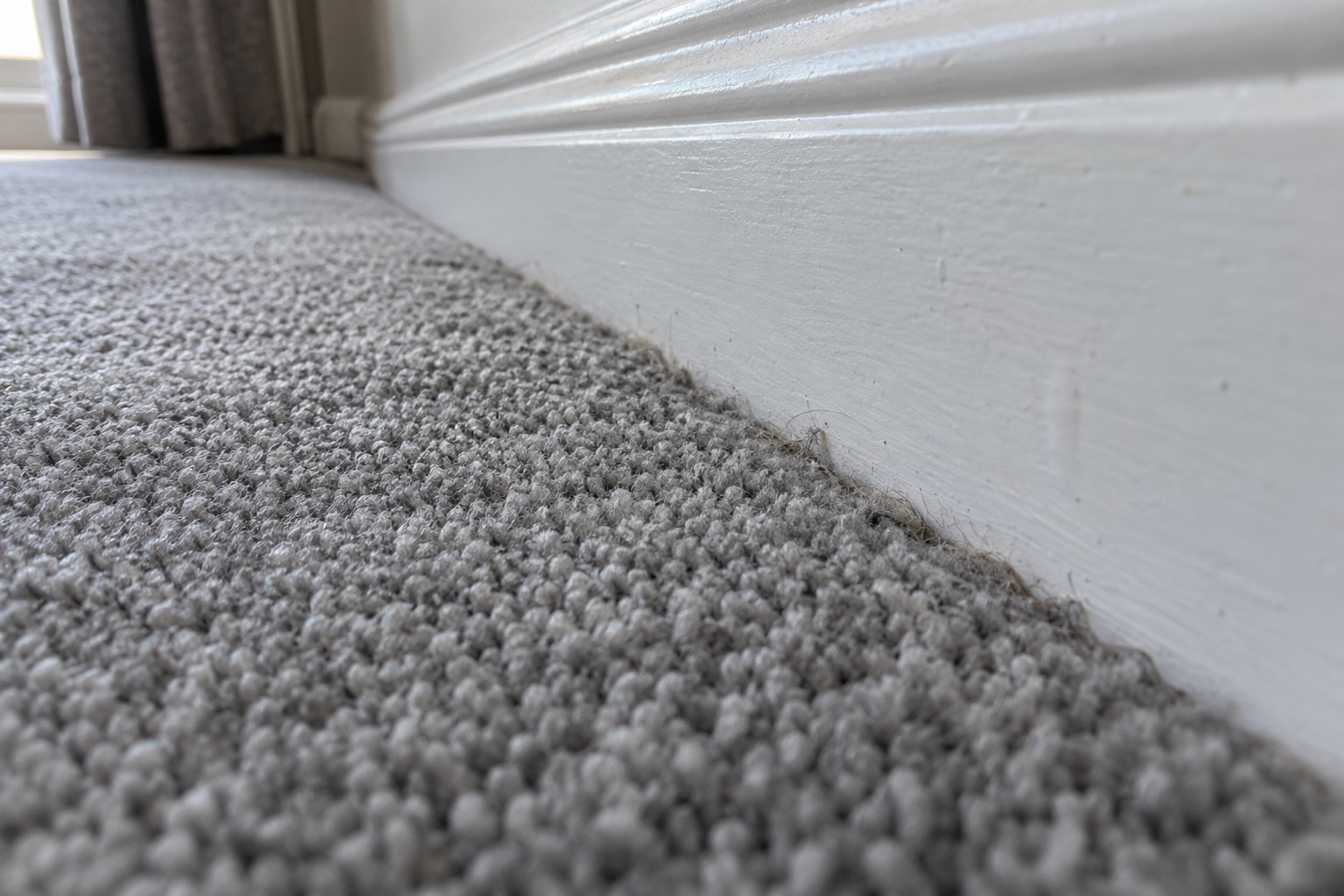 Does Carpet Cleaning Help With Allergies & Dust Mites? 2 Dust and pet hair gathering where the carpet meets the skirting.