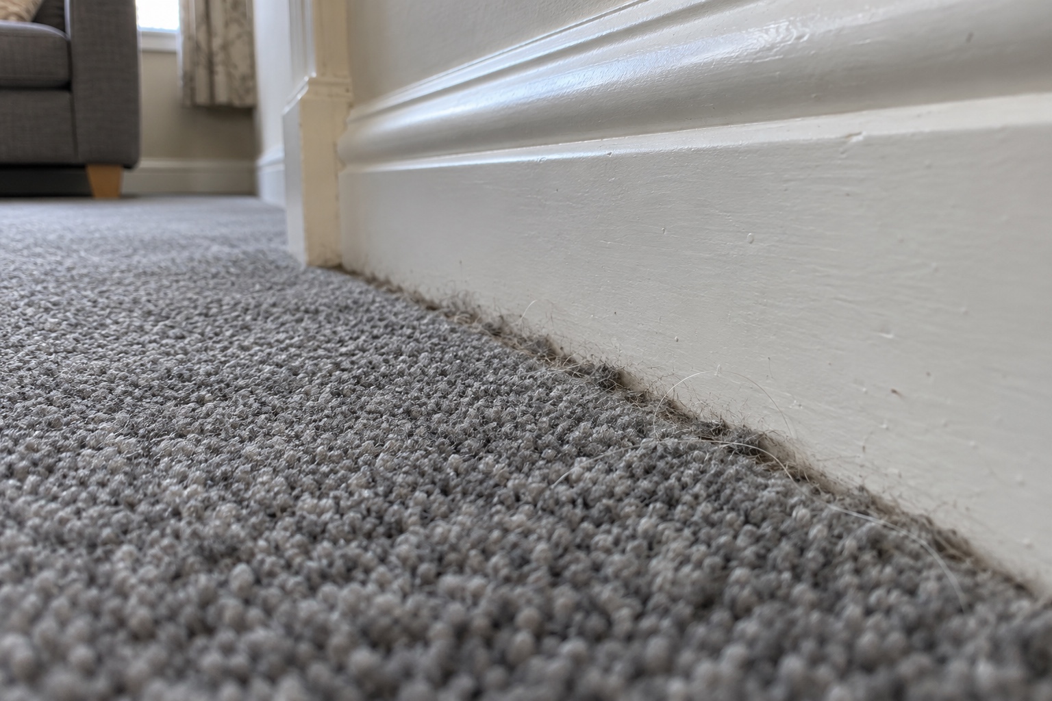 Does Carpet Cleaning Help With Allergies & Dust Mites? 4 Most of the dust sits deep in the pile, near the carpet backing.